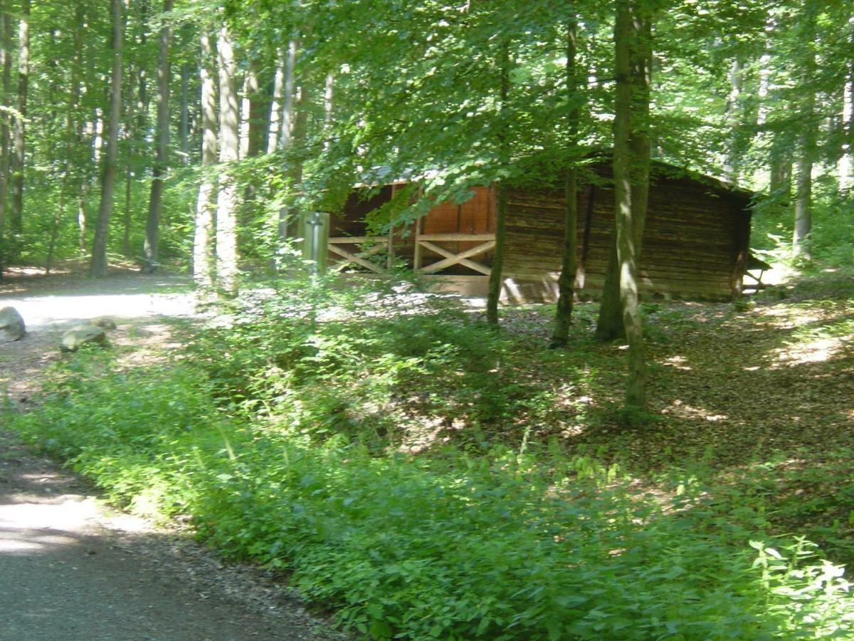 Haus Am Wald Apartment Hillscheid Exterior foto